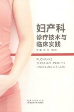 妇产科诊疗技术与临床实践 封面