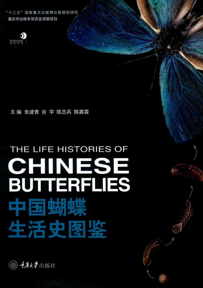 中国蝴蝶生活史图鉴 封面