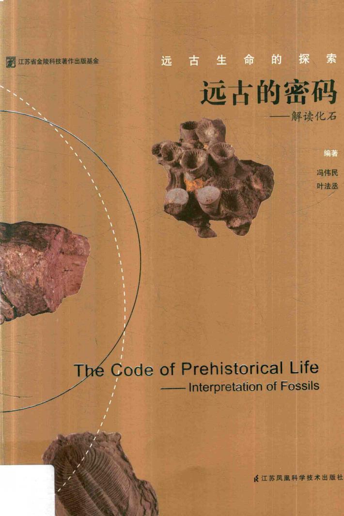 远古的密码:解读化石 封面