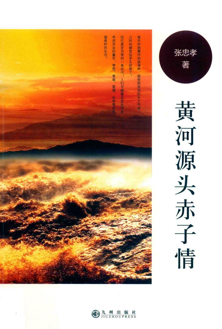 黄河源头赤子情 封面