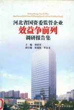河北省国资委监管企业效益争前列调研报告集 封面