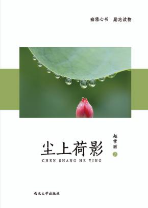 尘上荷影 封面