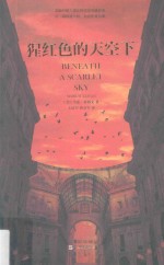 猩红色的天空下 封面