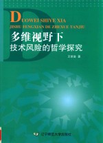 多维视野下技术风险的哲学探究 封面