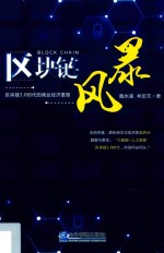 区块链风暴 封面