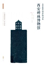亘古遗存的石板书库:西安碑林博物馆 封面
