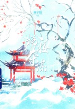 粉妆夺谋  5 封面