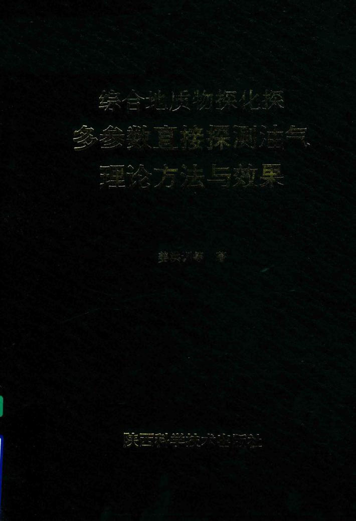 综合地质物探化探多参数直接探测油气理论方法与效果 封面