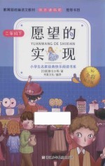 愿望的实现 封面