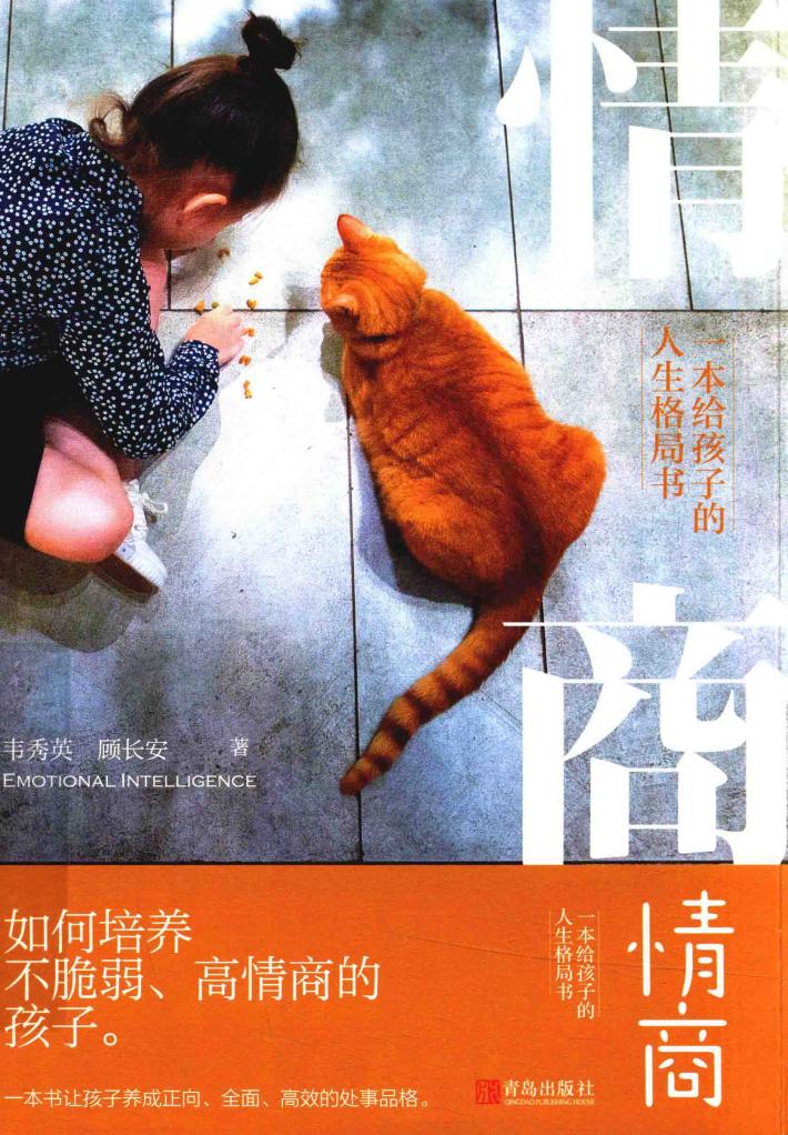 情商  一本给孩子的人生格局书 封面
