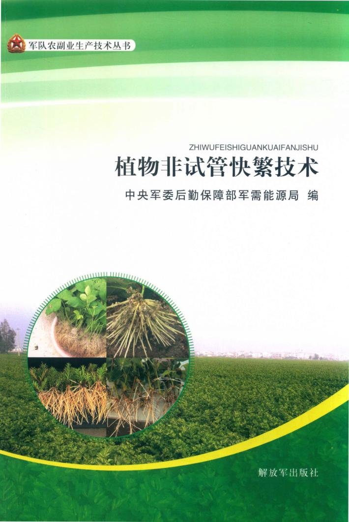 植物非试管快繁技术 封面