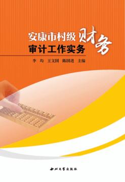 安康市村级财务审计工作实务 封面