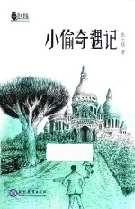 小偷奇遇记 封面