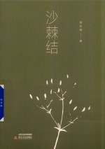 沙棘结 封面