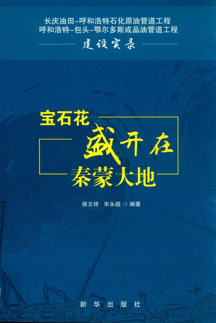 宝石花盛开在秦蒙大地 封面