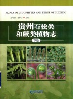 贵州石松类和蕨类植物志  下 封面