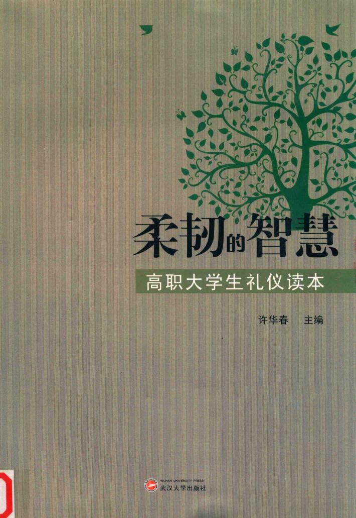 柔韧的智慧 封面