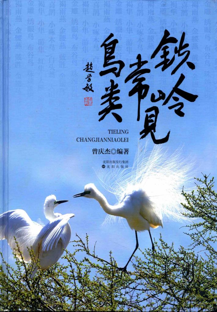 铁岭常见鸟类 封面