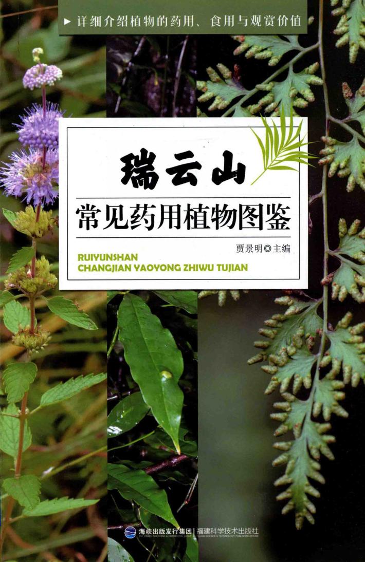 瑞云山常见药用植物图鉴 封面