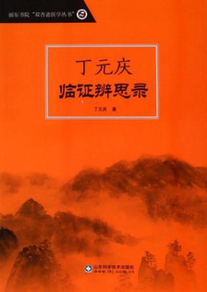 丁元庆临证辨思录 封面