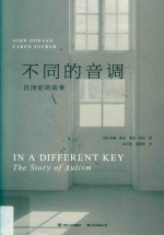不同的音调 封面