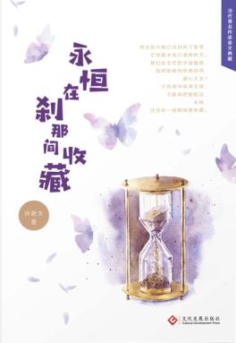 永恒在刹那间收藏 封面