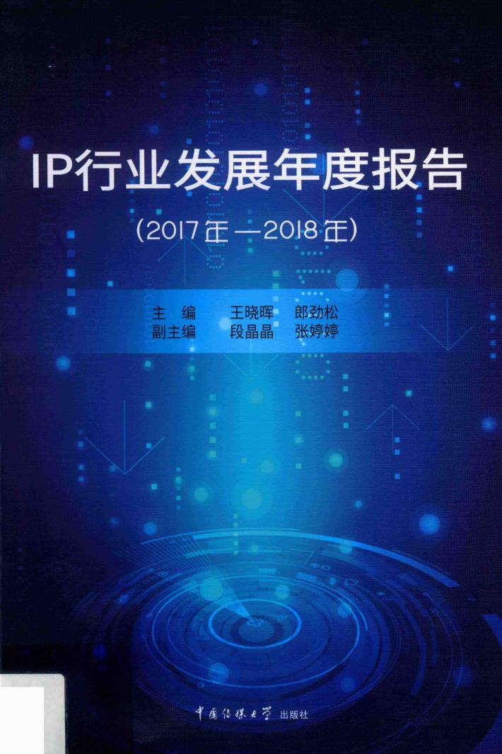 IP行业发展年度报告 封面