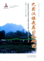 巴蜀汉族丧葬习俗研究 封面