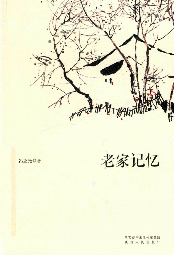 老家记忆 封面