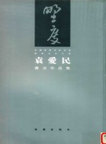 廊坊书法大系  袁爱民书法作品集 封面