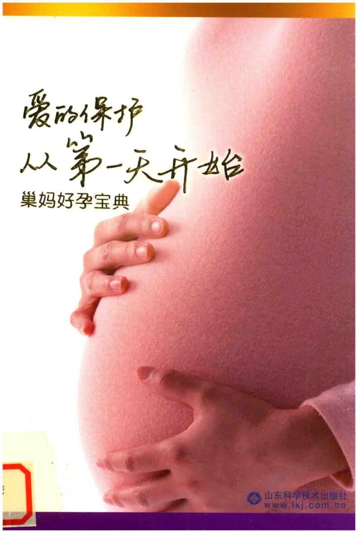 爱的保护从第一天开始  巢妈好孕宝典 封面