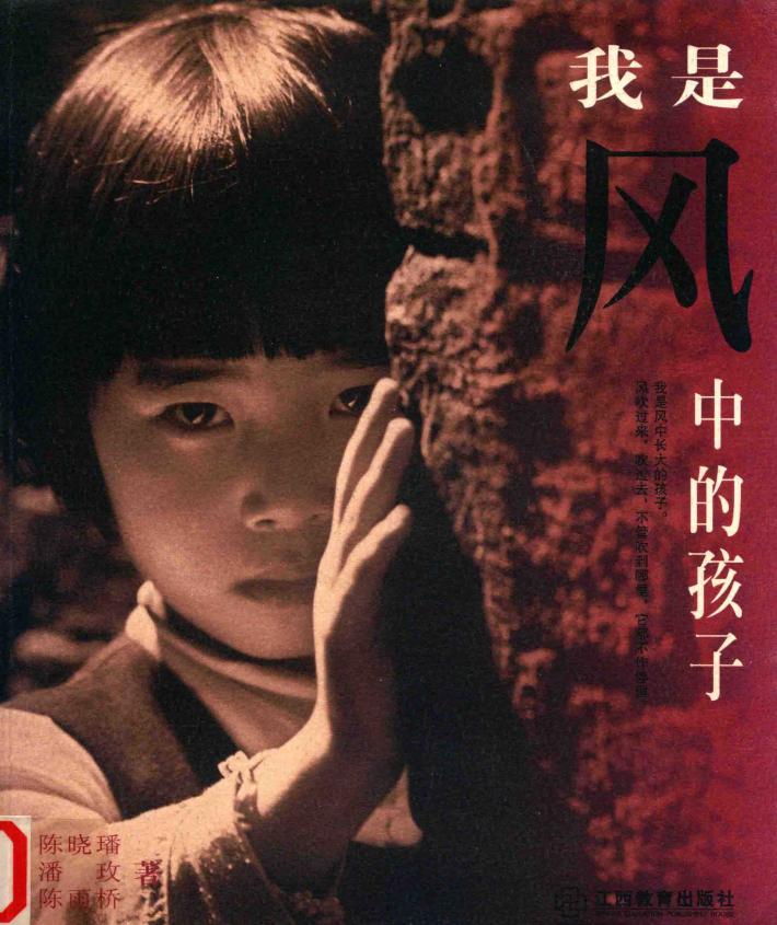 我是风中的孩子 封面