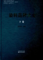 染料品种大全  下 封面