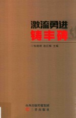 激流勇进铸丰碑 封面