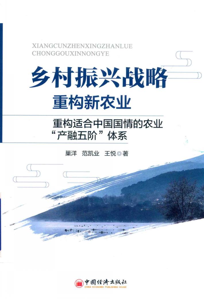 乡村振兴战略  重构新农业  重构适合中国国情的农业“产融五阶”体系 封面