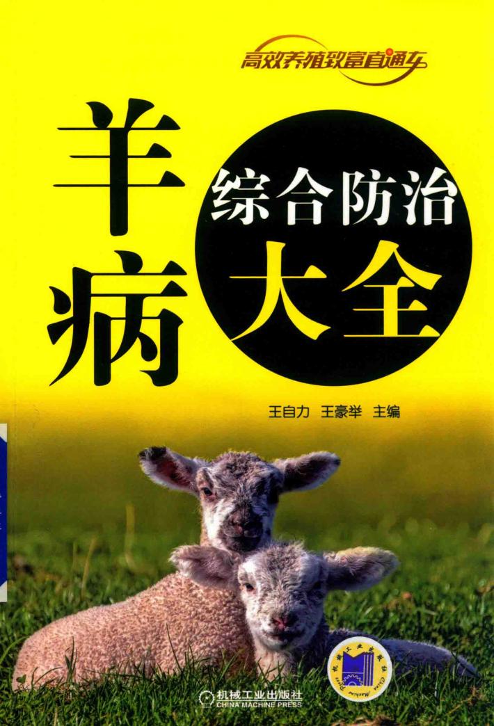 羊病综合防治大全 封面