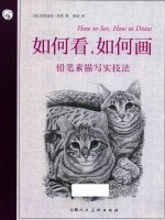 如何看，如何画  铅笔素描写实技法 封面