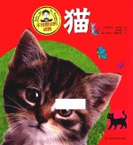 不可思议的动物  猫 封面