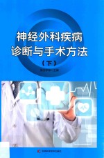 神经外科疾病诊断与手术方法  第2版  下 封面