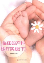 临床妇产科诊疗实践  第2版  下 封面