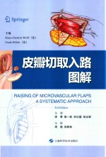皮瓣切取入路图解 封面