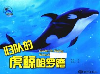 归队的虎鲸哈罗德 封面