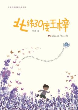 北纬30度王梓 封面