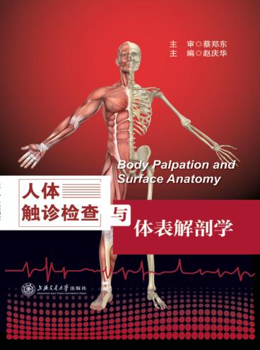 人体触诊检查与体表解剖学 封面