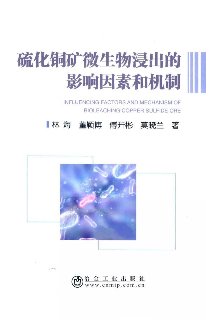 硫化铜矿微生物浸出的影响因素和机制 封面
