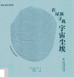 在屋顶寻找宇宙尘埃 封面