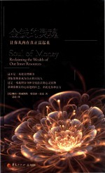 金钱的灵魂  让你从内在真正富起来 封面