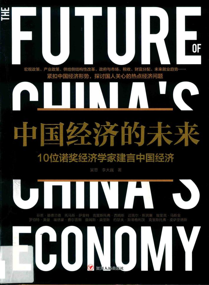 中国经济的未来 封面