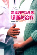 新编妇产科疾病诊断与治疗 封面