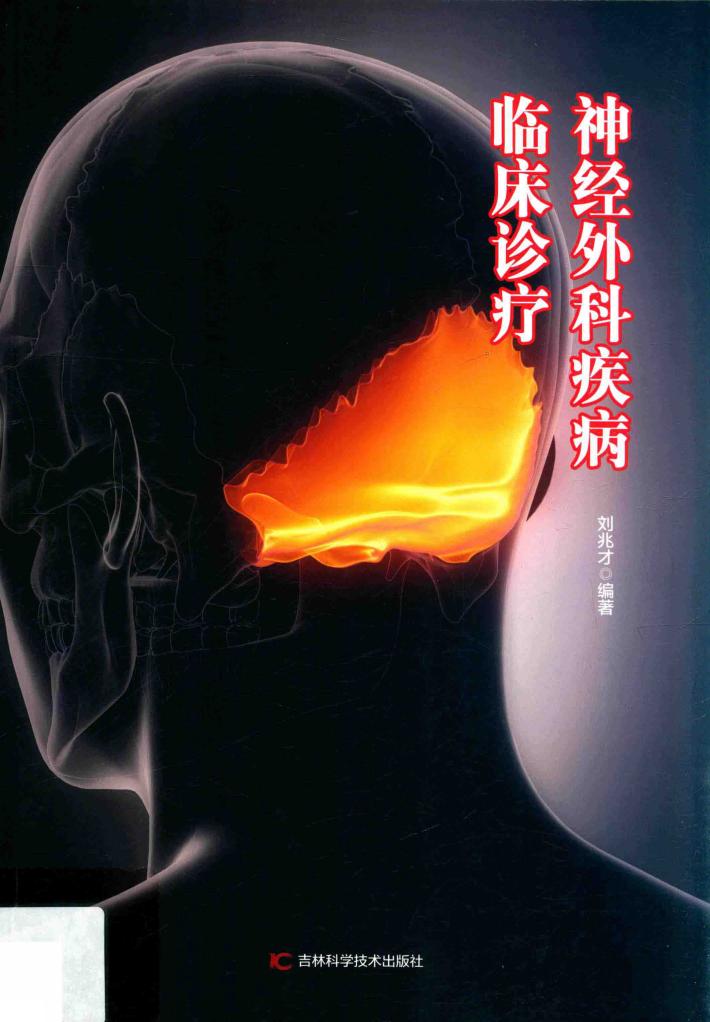 神经外科疾病临床诊疗 封面